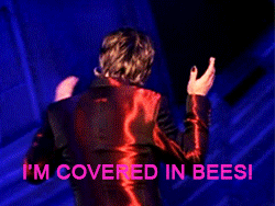 tumblr_n6rc1kubpE1qd2oxvo6_250.gif