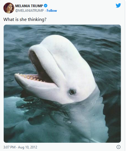 FsT1sBZXwAENXBP.png